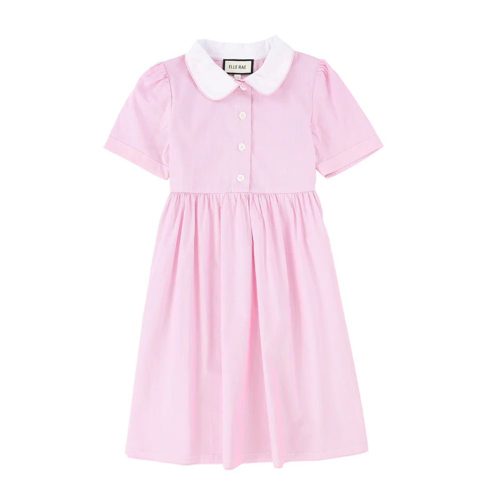 Elle Rae Pinstripe Pink Dress (Short Sleeve)