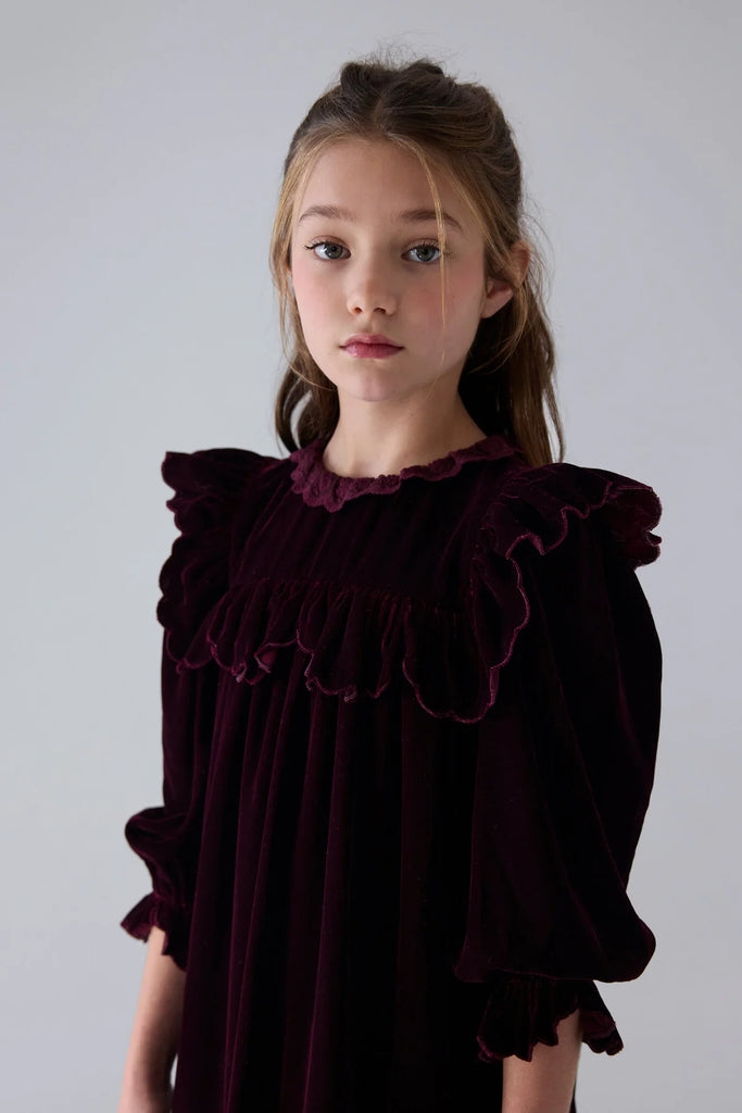 Petite Amalie Dark Cherry Lace Trim Velvet Dress