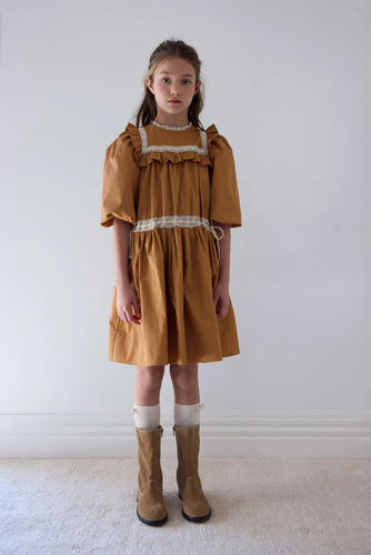 Petite Amalie Poplin Ribbon Lace Dress - Caramel/Ivory