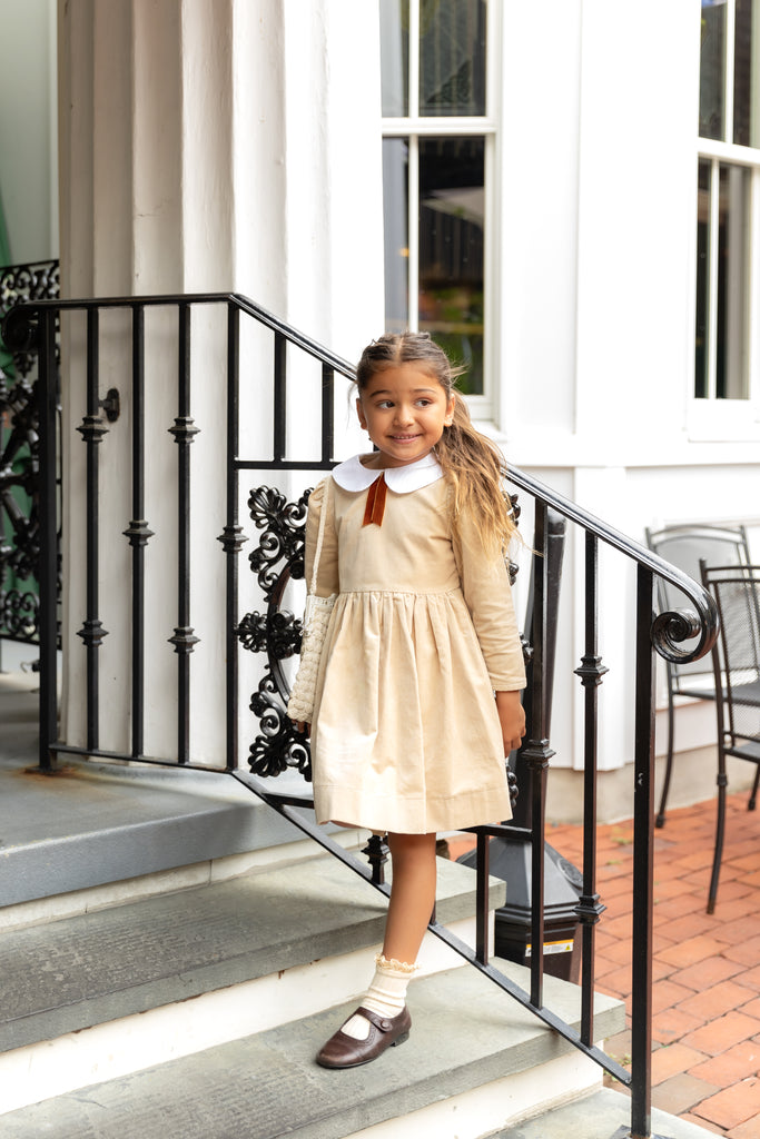 NouNelle Crushed Velour Tan Tie Dress