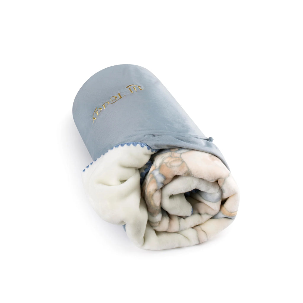 Bigger Teddy's Merry Go Snuggle Blueberry Biscuit - Toddler