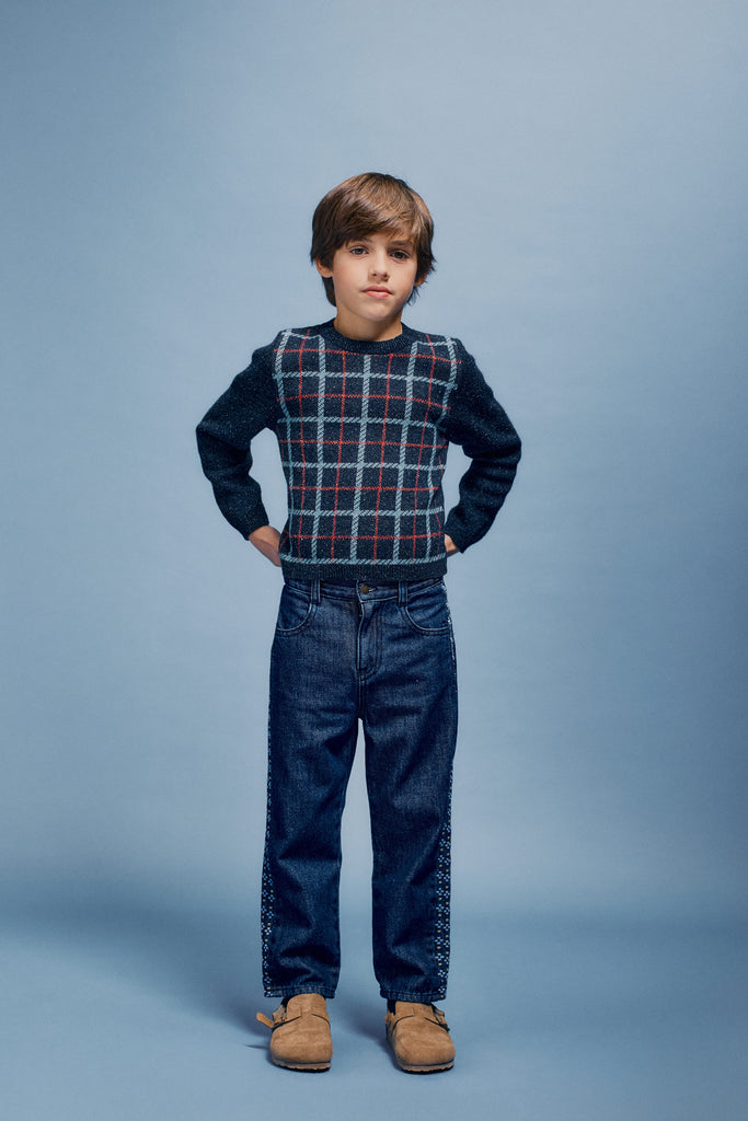 Bebe Organic Cruz Sweater - Blue Check Knit