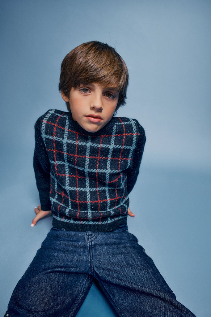 Bebe Organic Cruz Sweater - Blue Check Knit