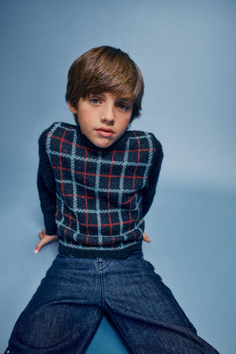 Bebe Organic Cruz Sweater - Blue Check Knit