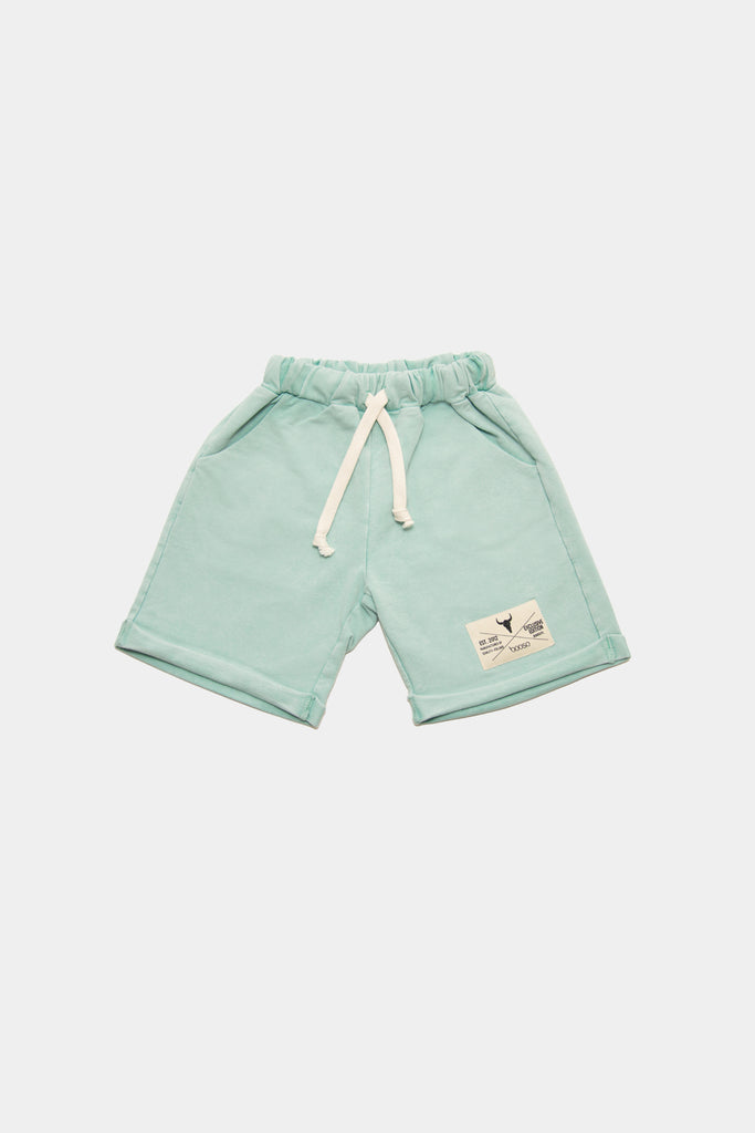 Booso Simple Mint Shorts*Runs Big*