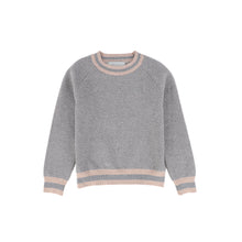 Load image into Gallery viewer, Bace Print Knit Sweater - Light Grey