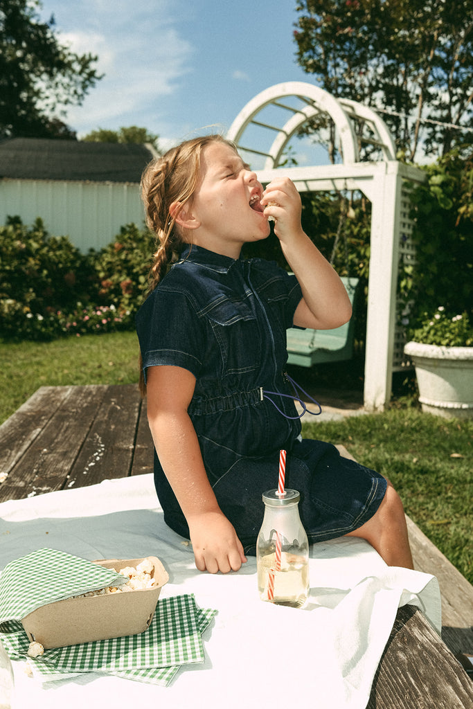 Crew Kids Blue Riley Dress