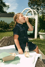 Load image into Gallery viewer, Crew Kids Blue Riley Dress
