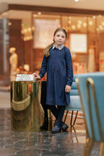 Load image into Gallery viewer, Velvette Label Denim Striped Collar Dress
