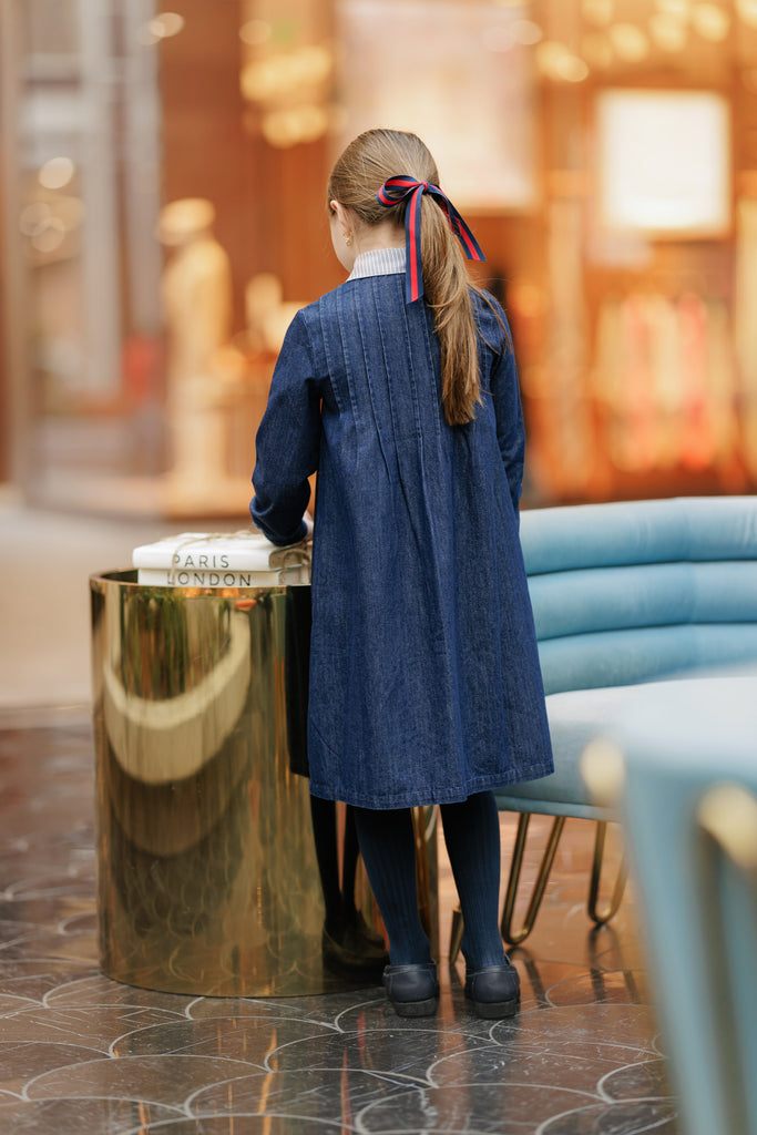 Velvette Label Denim Striped Collar Dress