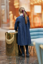 Load image into Gallery viewer, Velvette Label Denim Striped Collar Dress