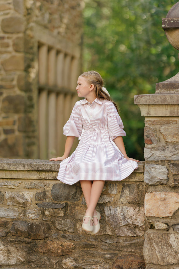 Velvette Label Pink Stripe Waisted Dress