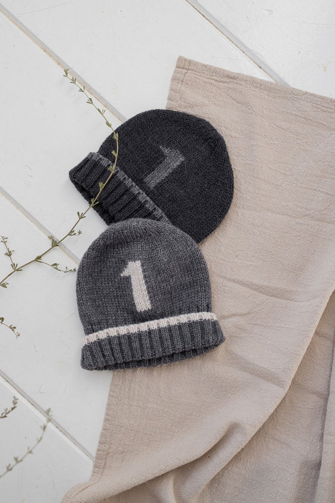 1+ in the Family Lucas Number One Beanie - Grey