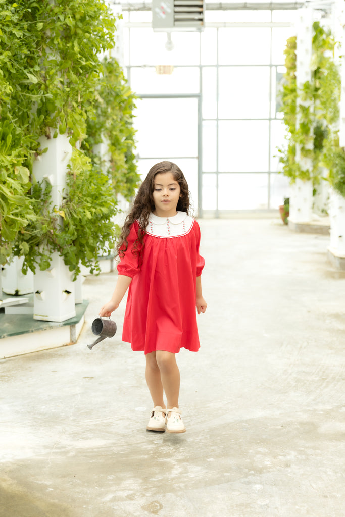Nou Nelle Hot Pink Embroidered Dress (3/4 Sleeve)