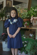 Load image into Gallery viewer, Tia Cibani Harriet Pin Tuck Dress - Blue