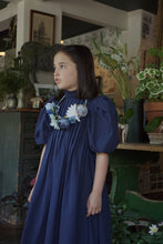 Load image into Gallery viewer, Tia Cibani Harriet Pin Tuck Dress - Blue