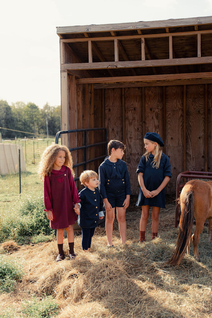 Mini Nod Boys Short Overalls with Shirt - Navy