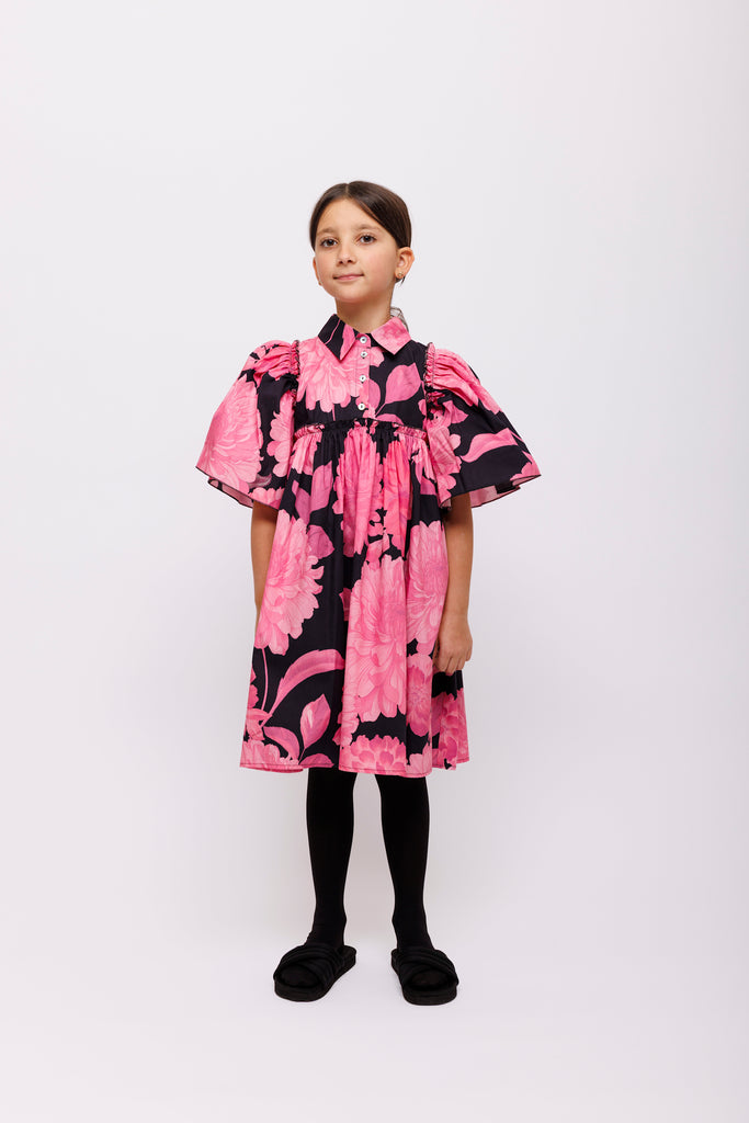 Christina Rhode Dress (1126) - Black/Pink Floral