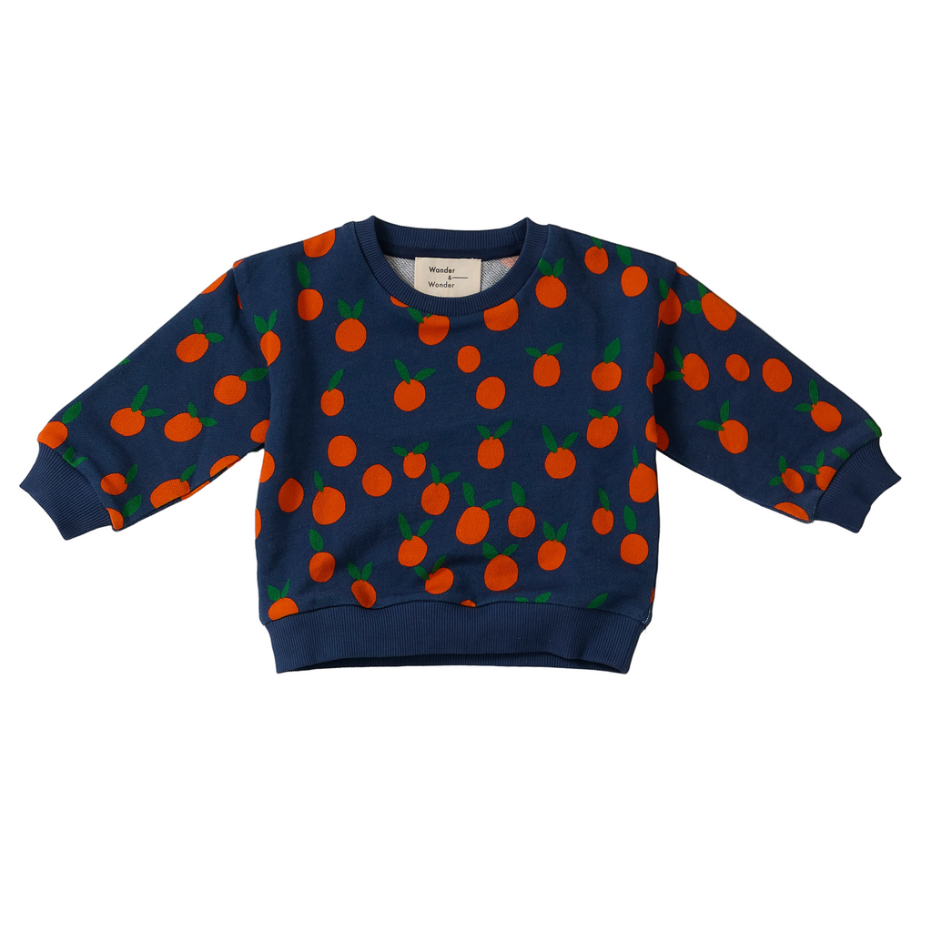 Wander & Wonder Baby Printed Sweatshirt - Navy Tangerine