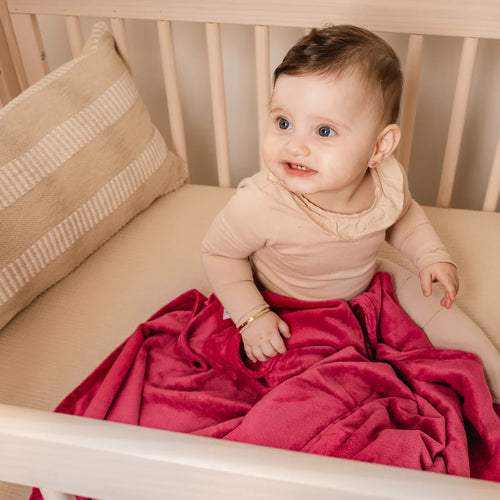 Swaddle Bee Minky Bee Stroller Blanket - Raspberry