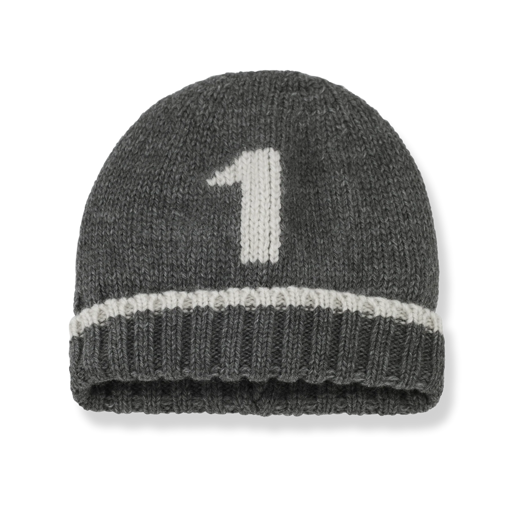 1+ in the Family Lucas Number One Beanie - Grey