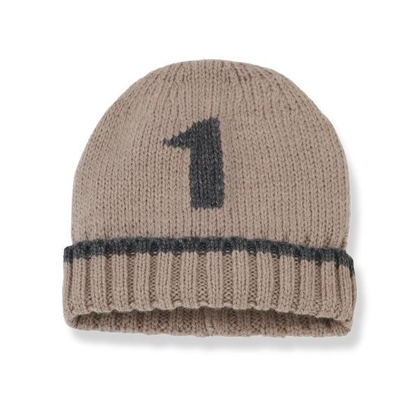 1+ in the Family Lucas Number One Beanie - Old Rose