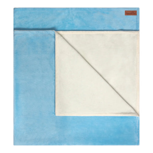 Swaddle Bee Minky Bee Stroller Blanket - Sky Blue/Ivory