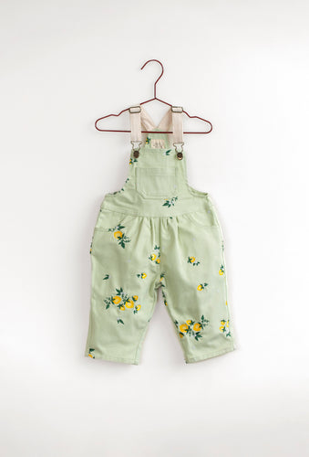 Please Mom Mint Lemon Overalls