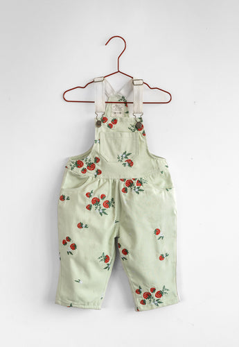 Please Mom Mint Strawberry Overalls