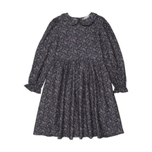 Load image into Gallery viewer, Bopop Paisley Collection Dress