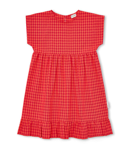 Petit Blush Julie Dress - Check Red