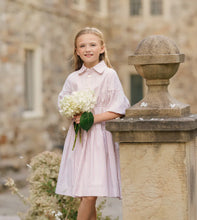 Load image into Gallery viewer, Velvette Label Pink Stripe Waisted Dress