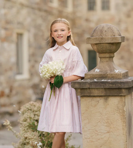 Velvette Label Pink Stripe Waisted Dress