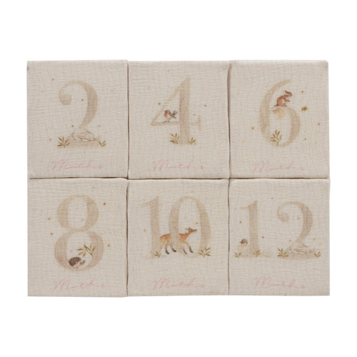 Kipp  Baby First Year Plush Set - Pink