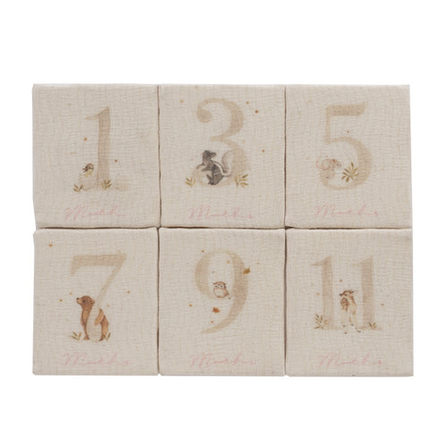 Kipp  Baby First Year Plush Set - Pink