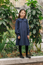 Load image into Gallery viewer, Velvette Label Blue Pinstripe Bow Dress