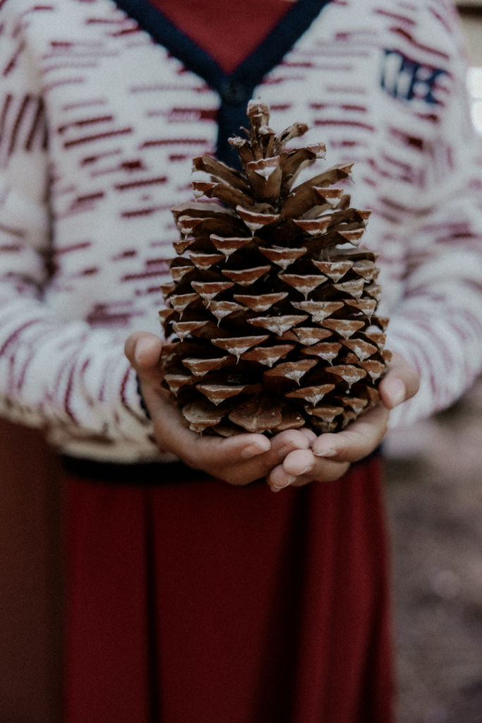 Retro Kid Chunky Knit Classic Cardigan - Cream/Burgundy
