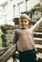 Load image into Gallery viewer, Sweet Threads Amber Crew Sweater - Brown/Navy Patterned