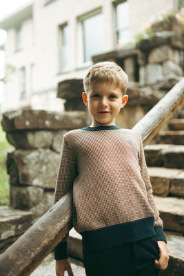 Sweet Threads Amber Crew Sweater - Brown/Navy Patterned