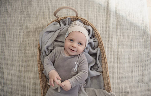 Taupe/Gray Velour Bunny On Pocket Collection